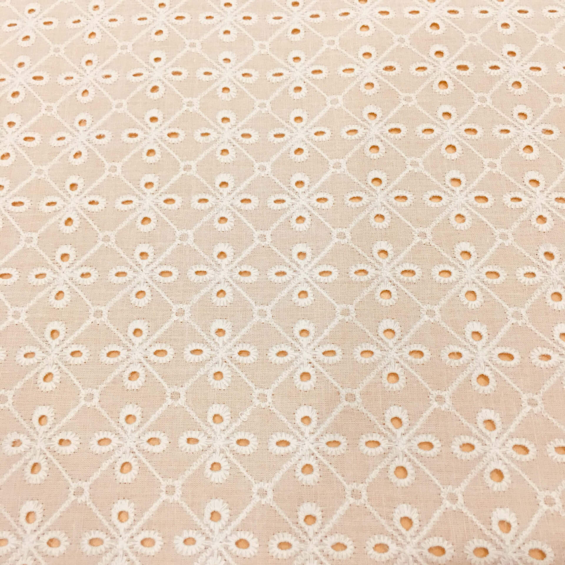Cutwork Eyelet 100% Cotton Embroidered Fabric for Women's Wear Wholesa
