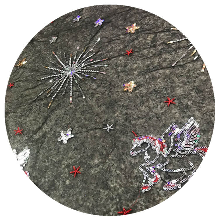 Embroidered Fabric Star Sequin Polyester for Women's Wear Wholesale Su 4