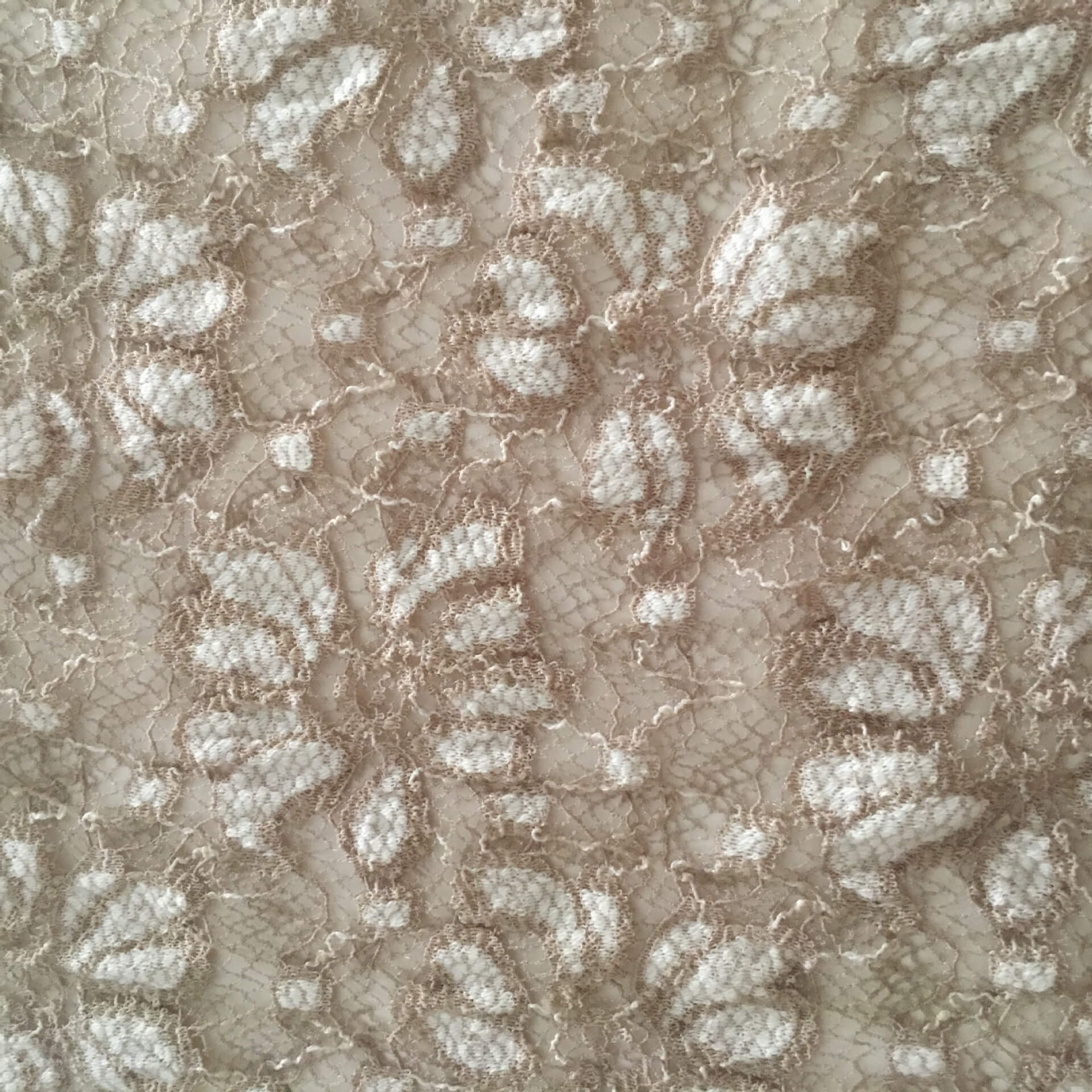 Lace Fabric Dress Bridal Nylon Warp Knit for Women's Wear Wholesale Su 11