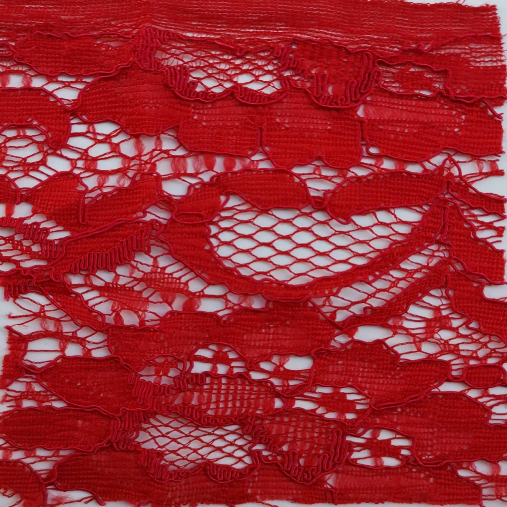 Lace Fabric Dress Cutwork Nylon for Women's Wear Wholesale Supplier 7