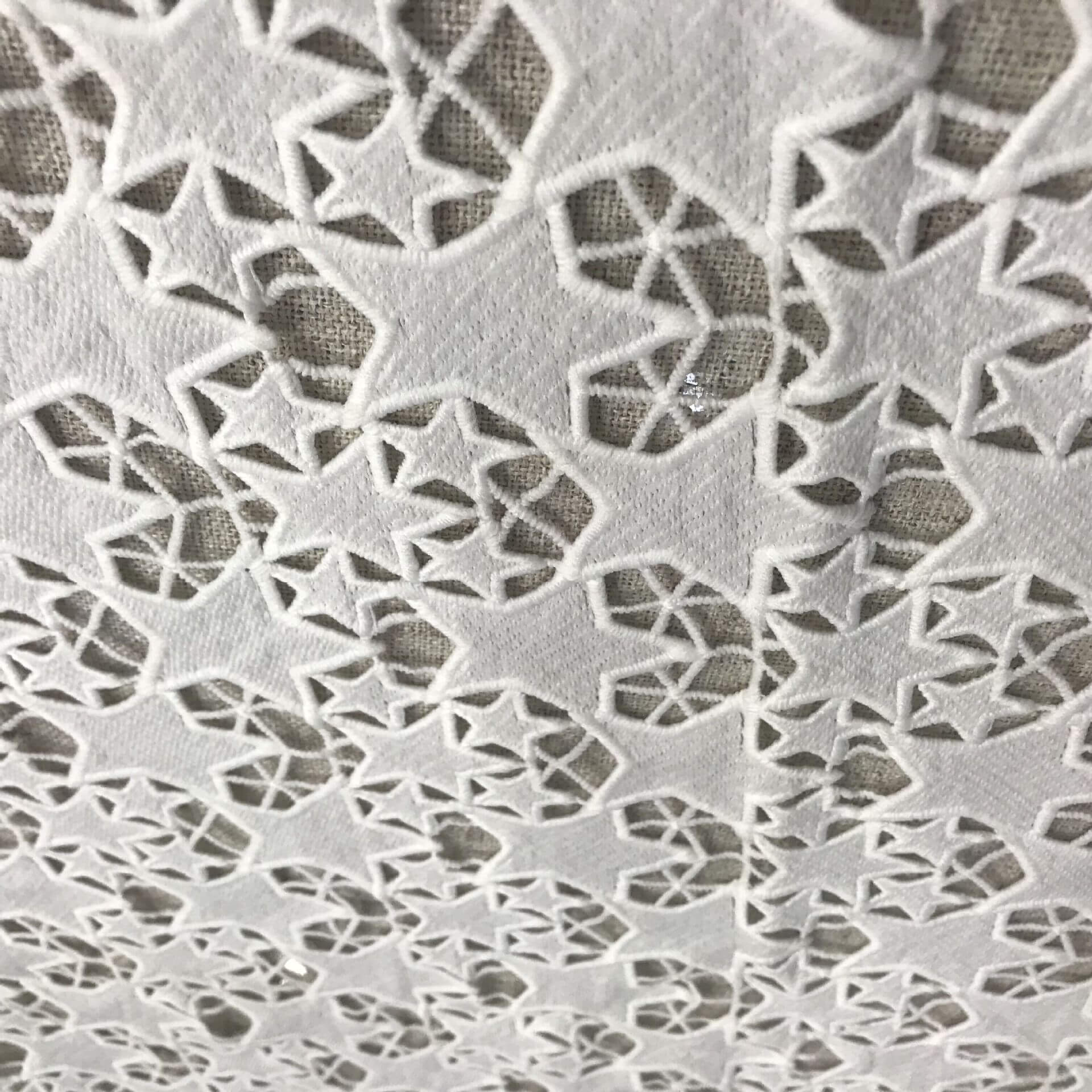 Lace Fabric Embroidered Fabric Milk Silk Polyester for Women's Wear Wh 4