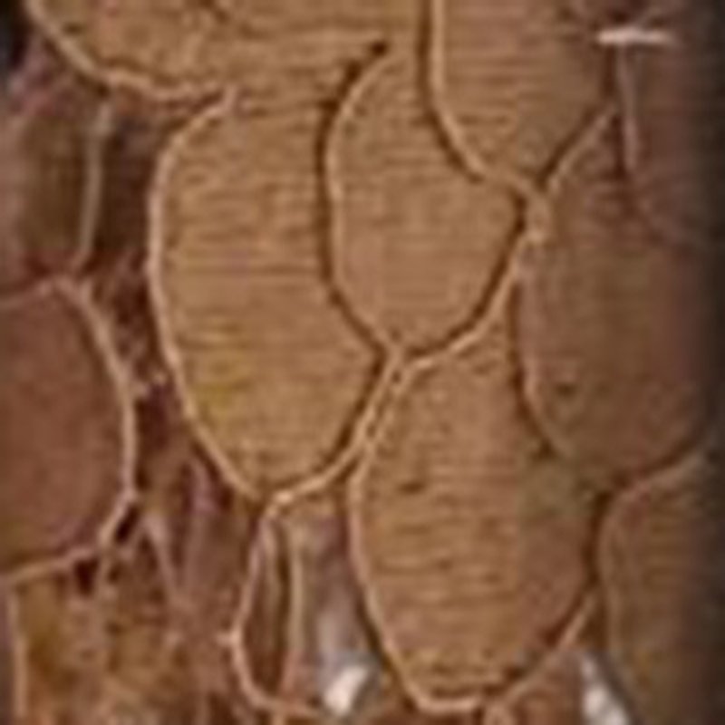 Lace Fabric Bridal for Bridal Wholesale Supplier 17