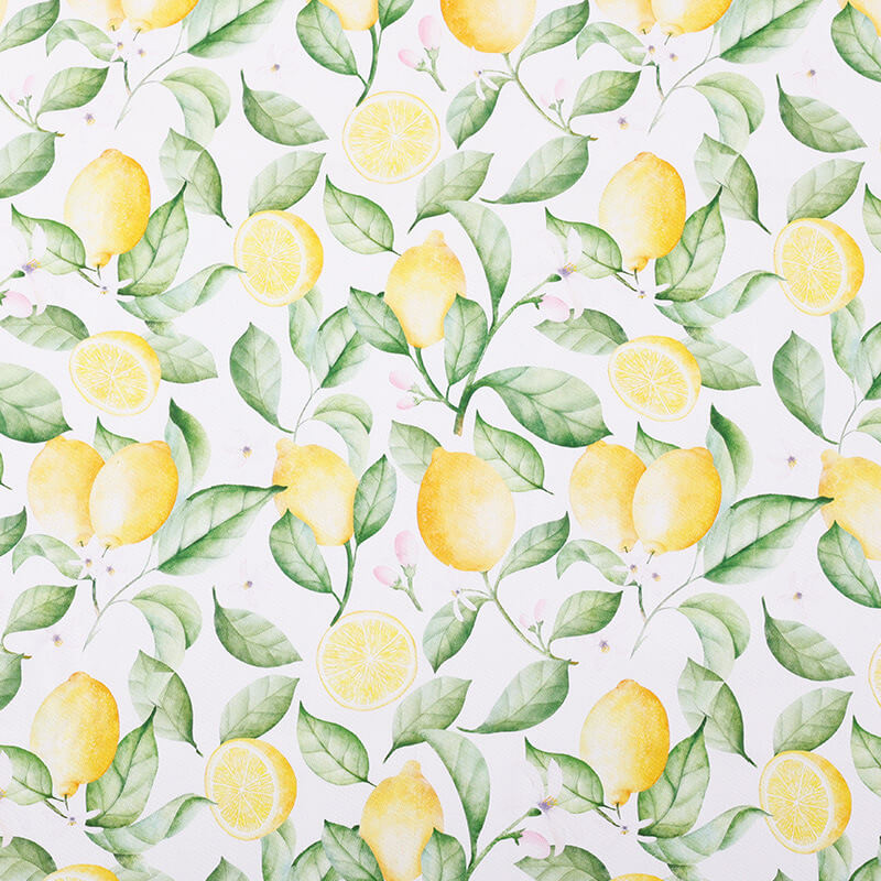 21-count Printed 100% Cotton Knit Poplin Fabric for Apparel Wholesale Suppl